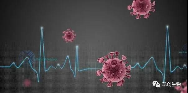 喜訊：凱創生物多款新冠抗原試劑均已獲CE準入和出口白名單！